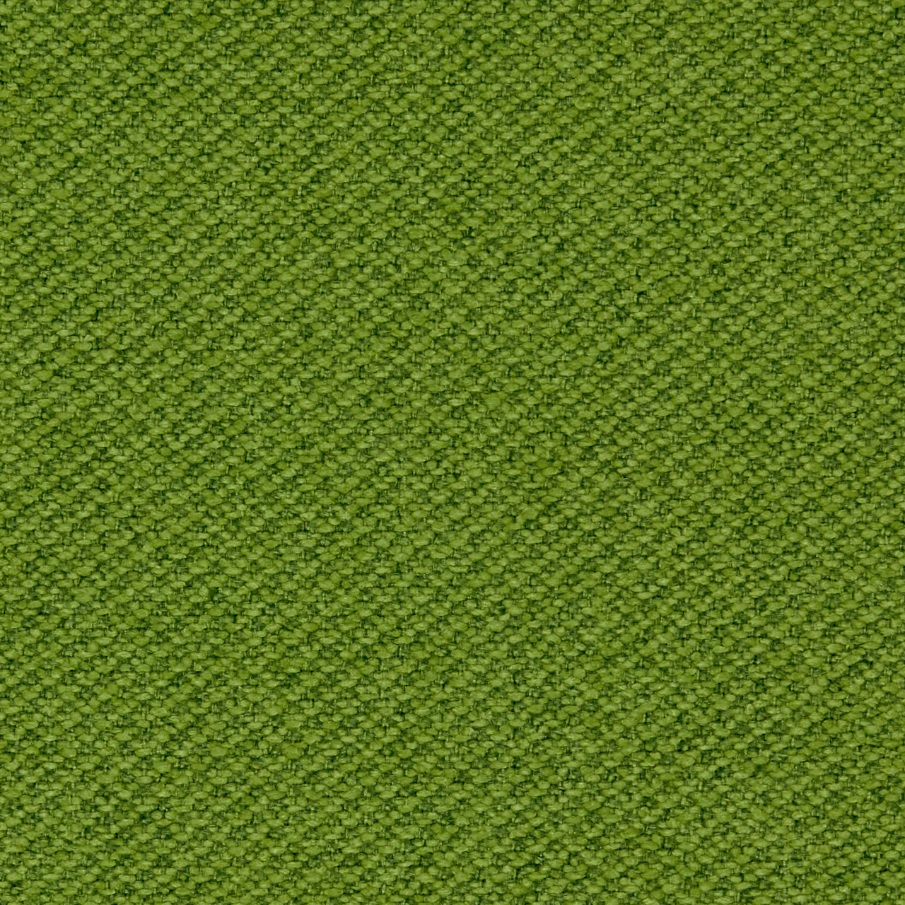 Foliage