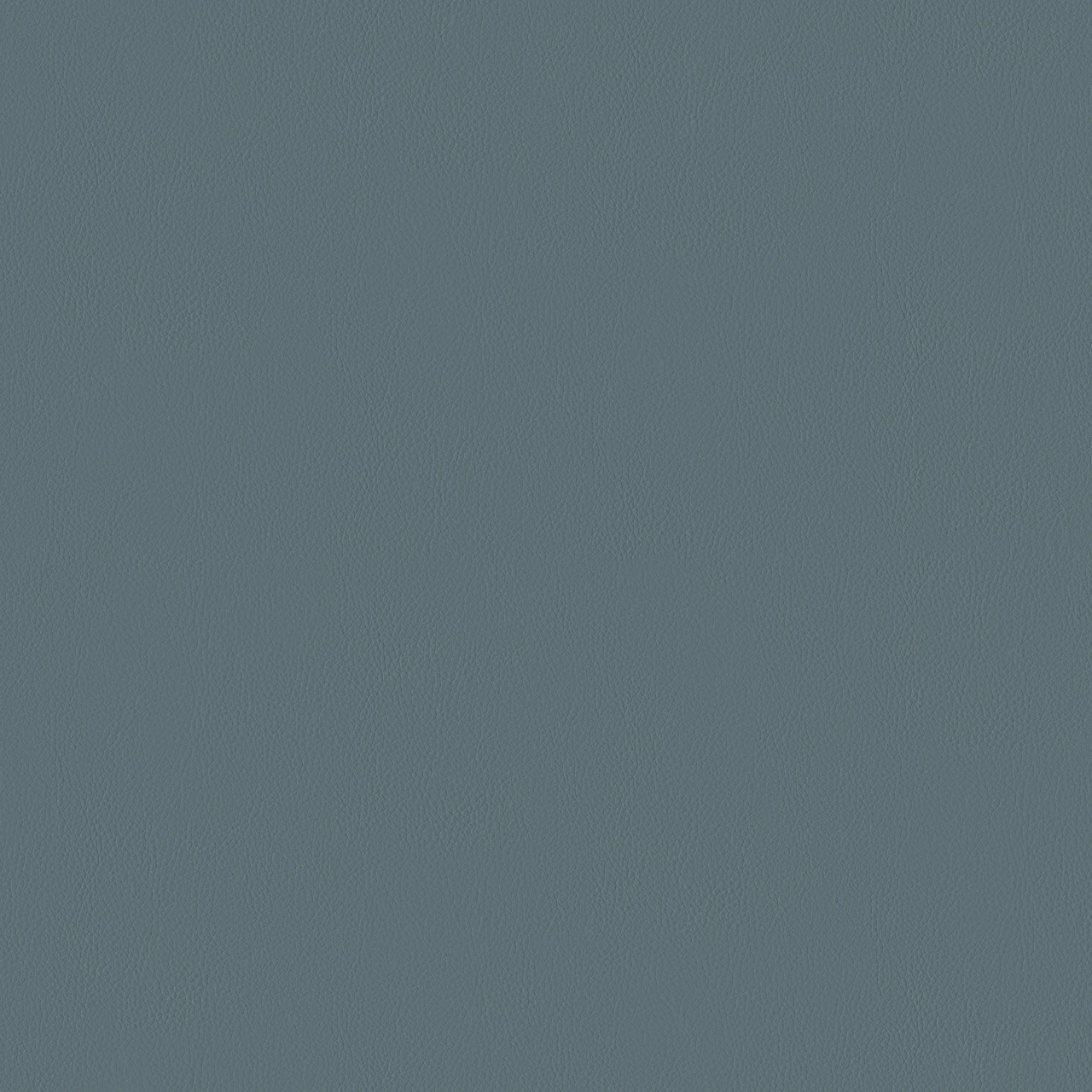 Quail