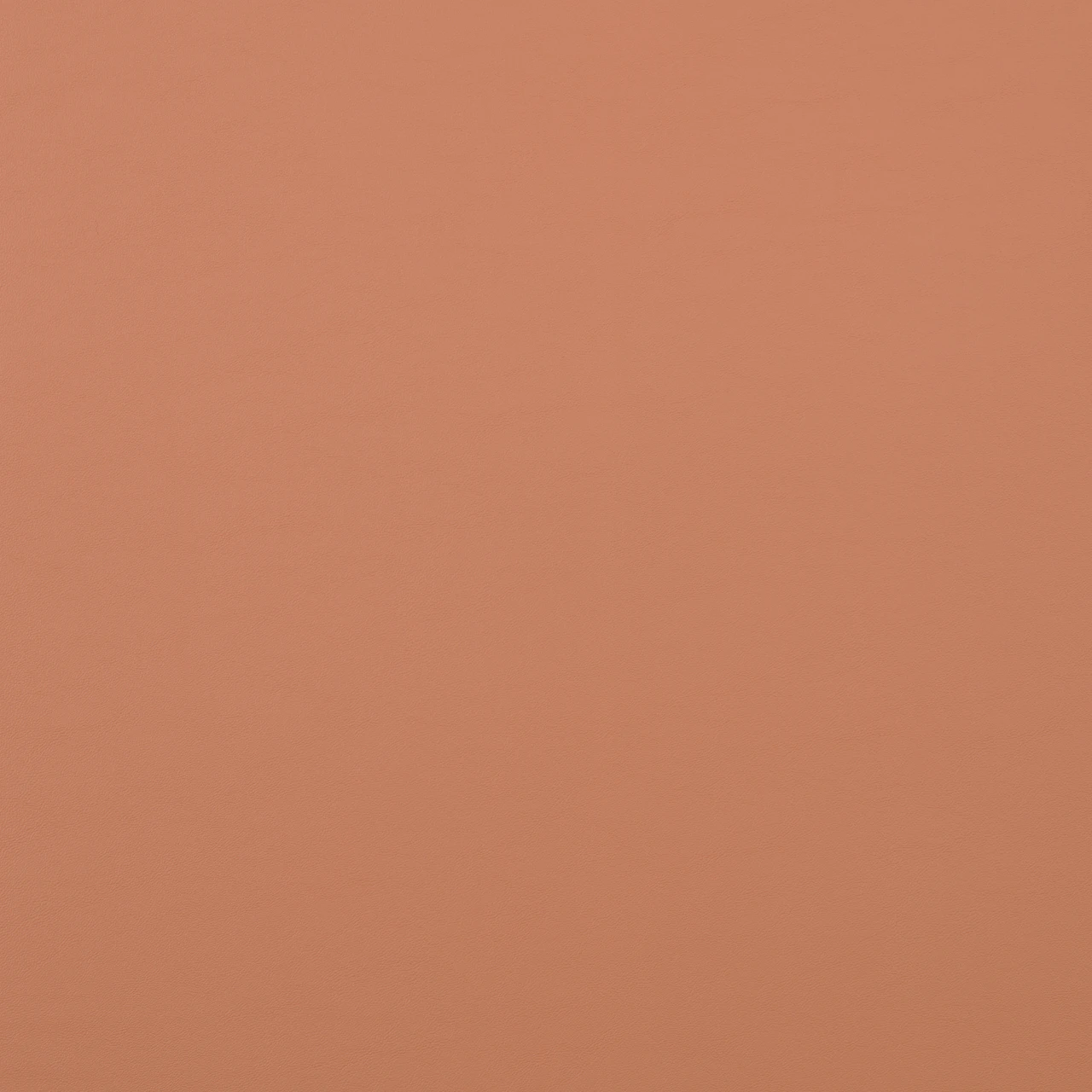 Desert