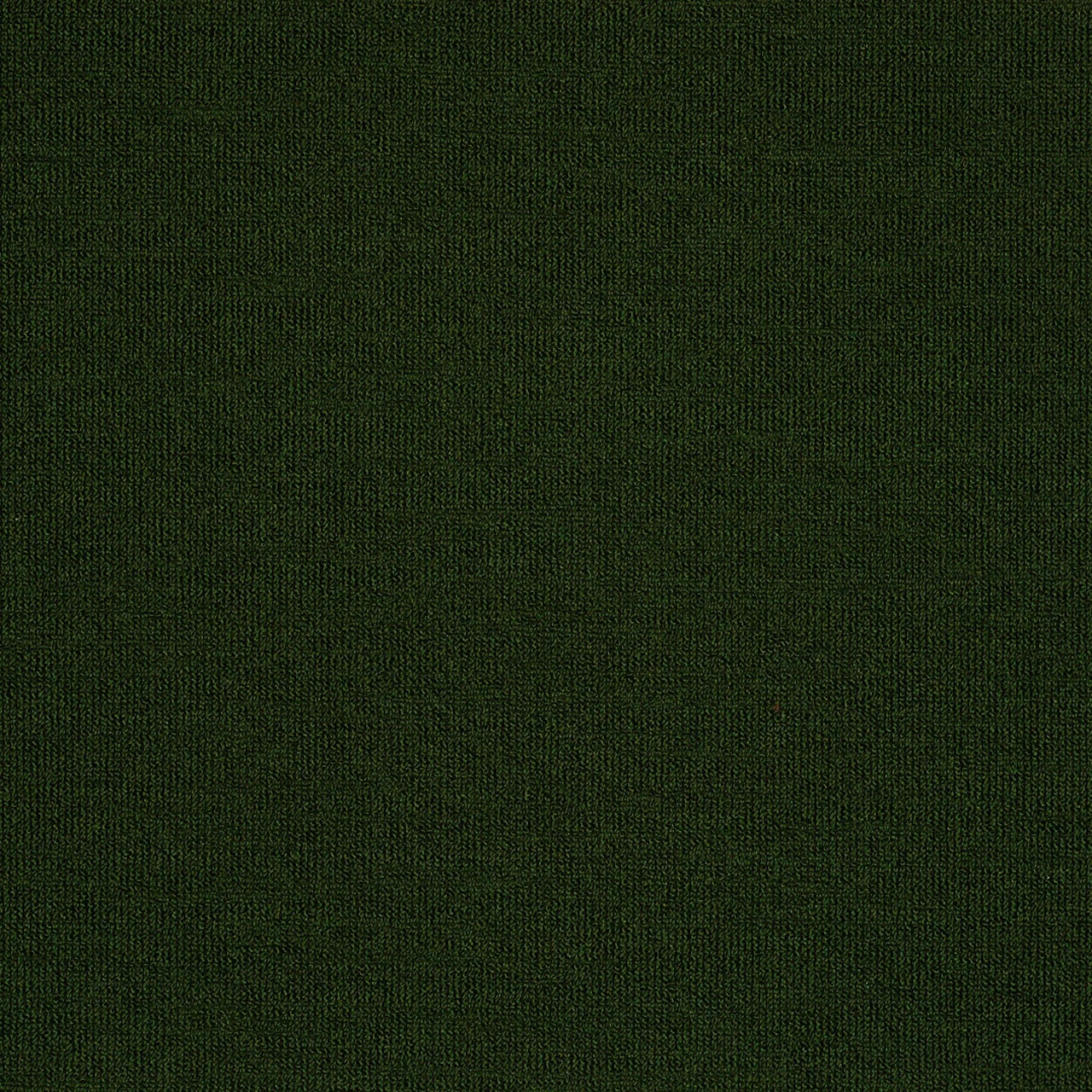 Thicket