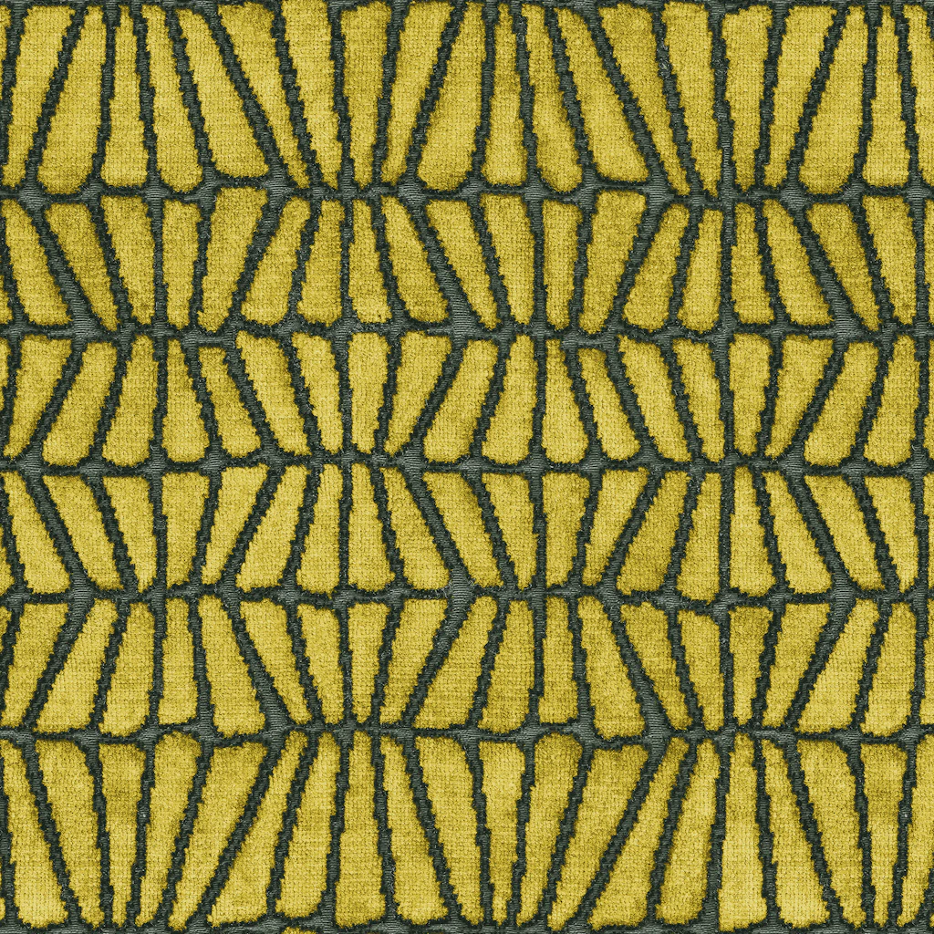 Fennel