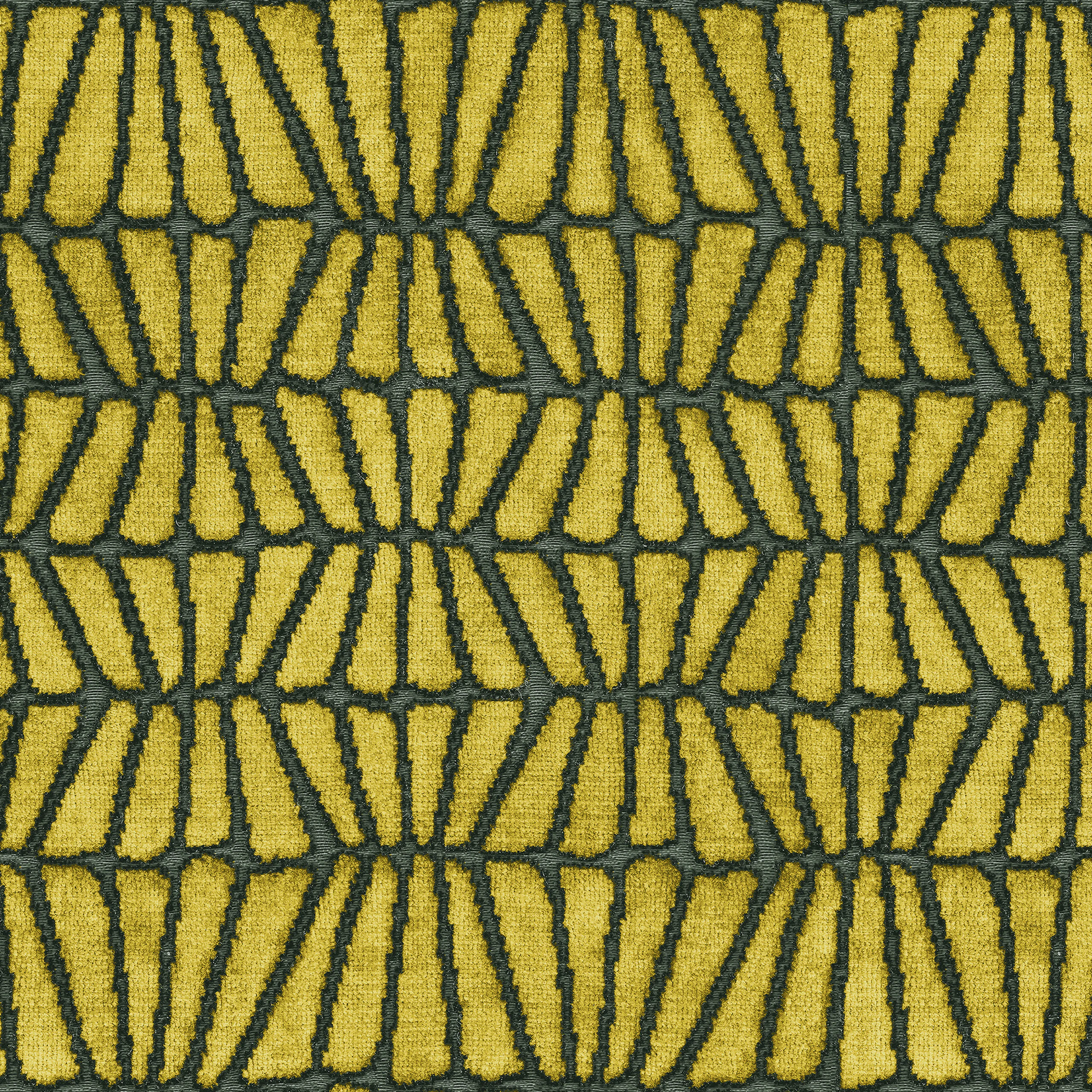 Fennel