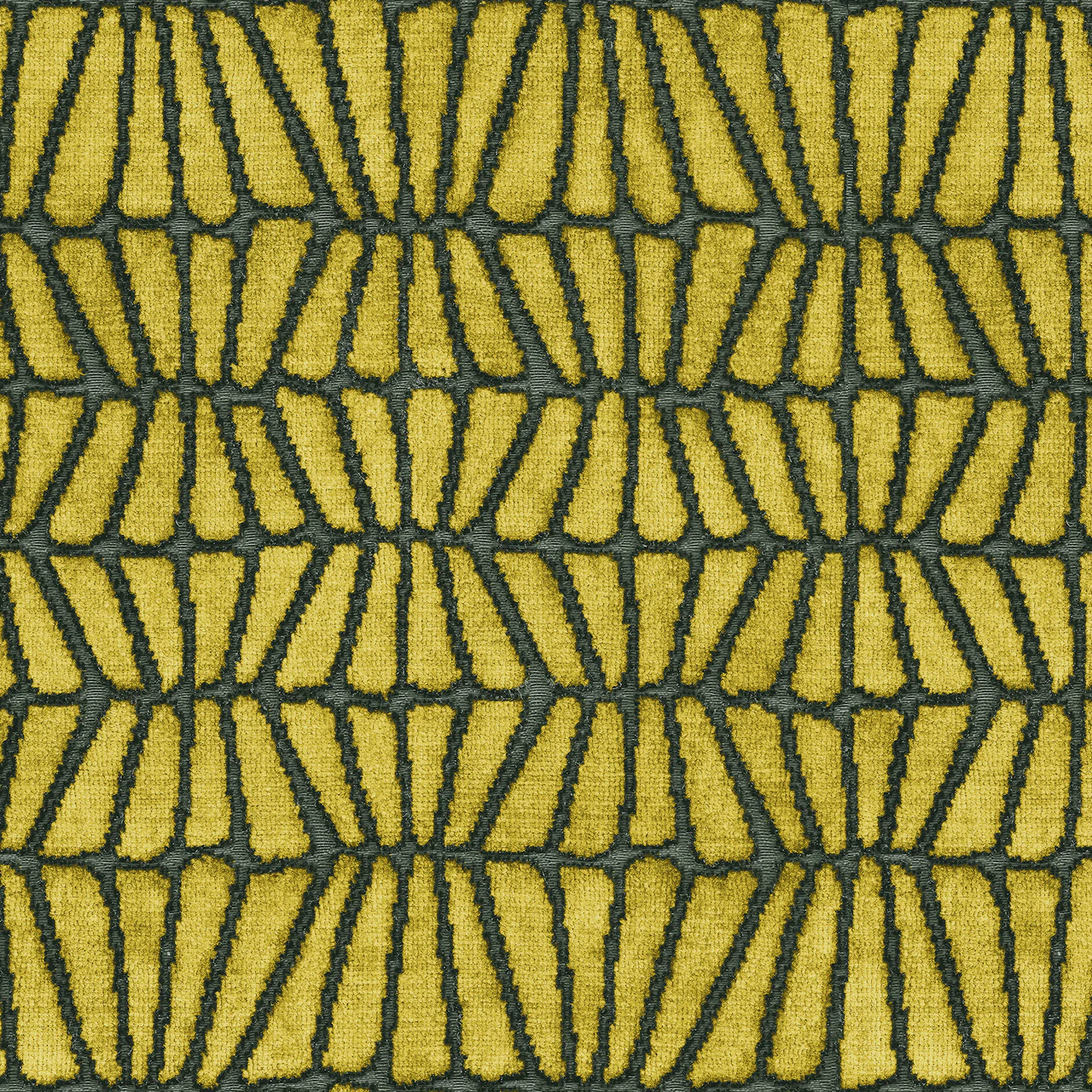 Fennel