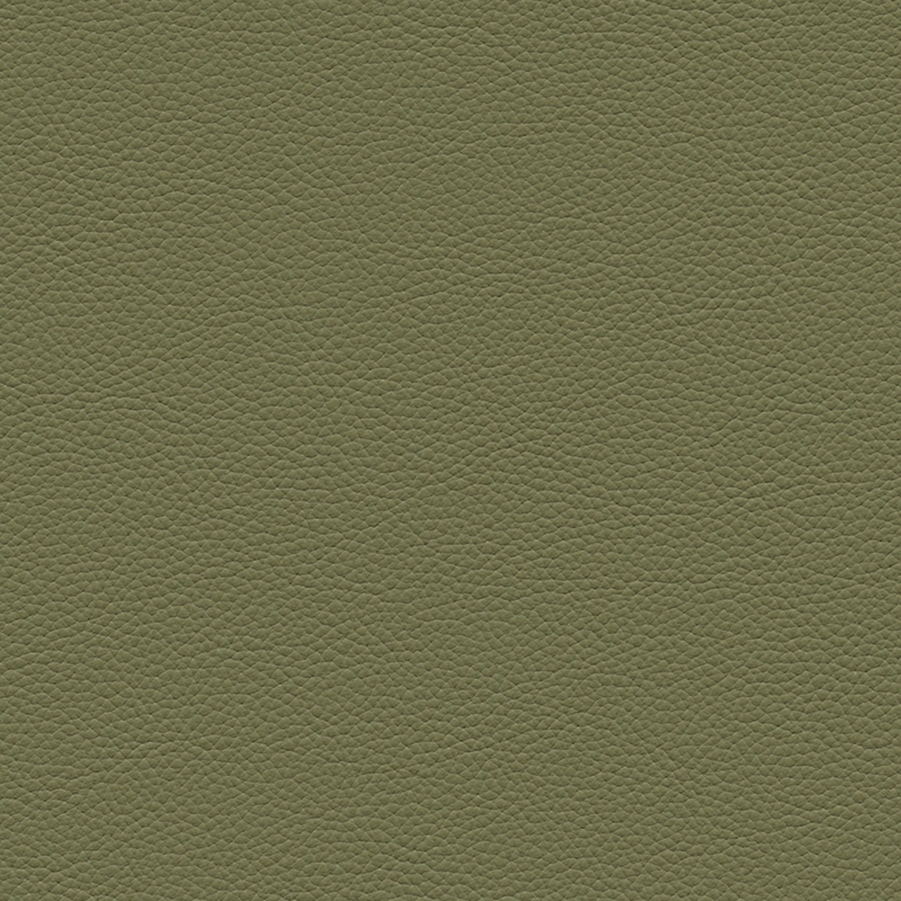 Bay