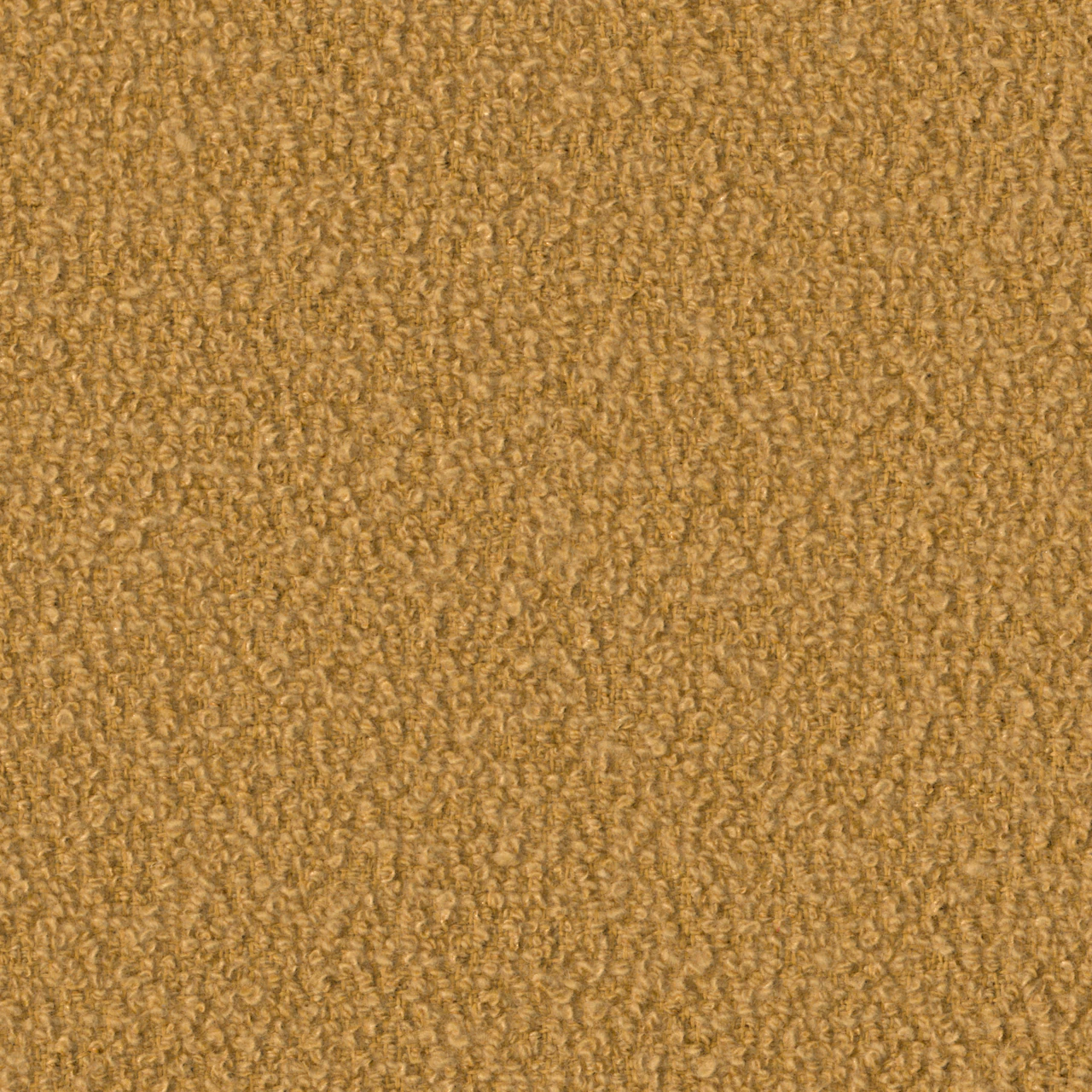 Yam
