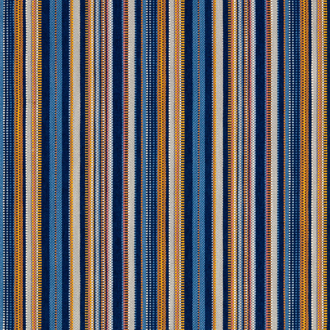 Pipevine