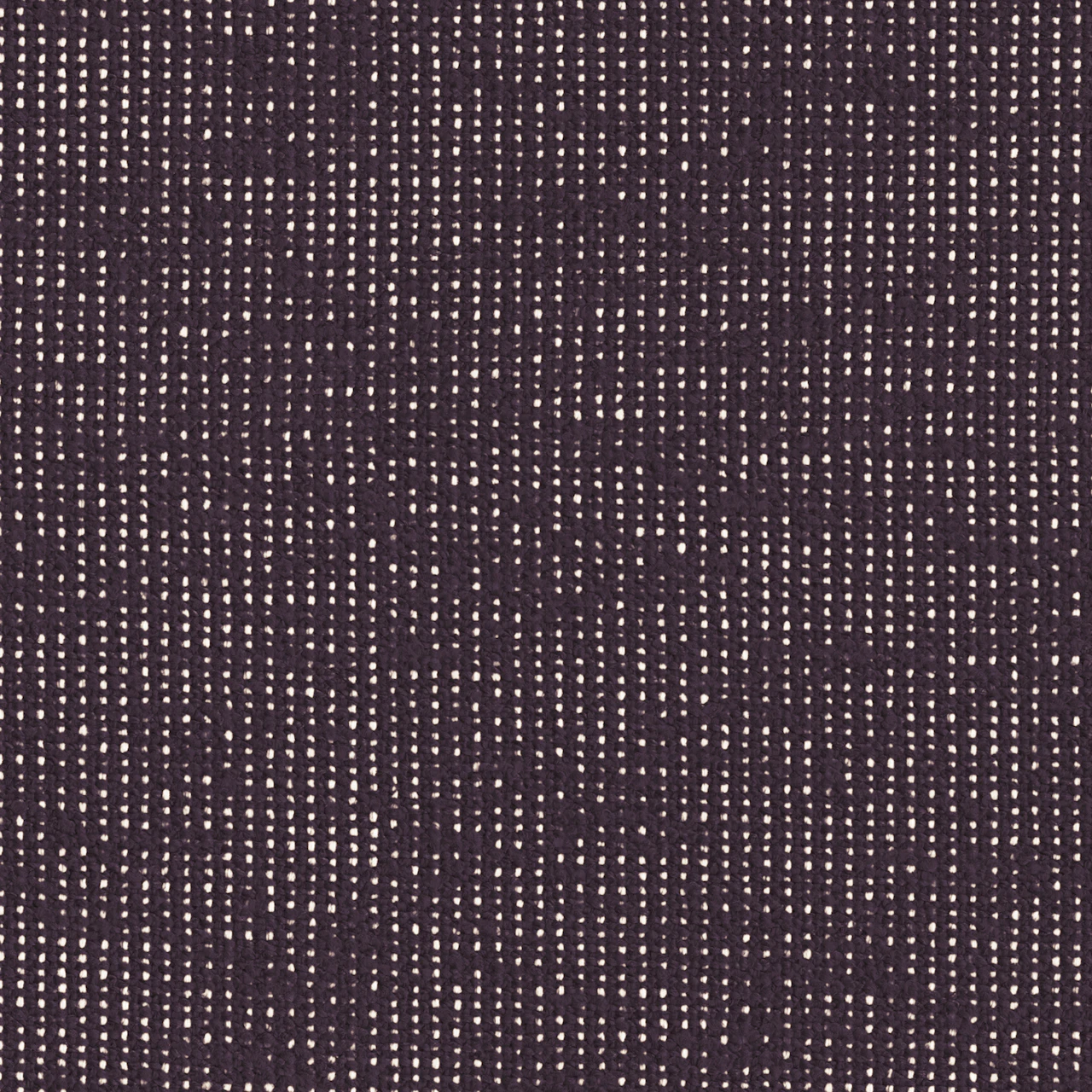 Purple / White