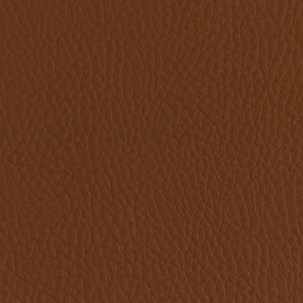 Saddle