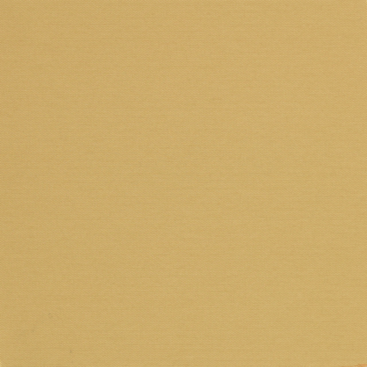 Goldenrod