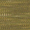 Spruce