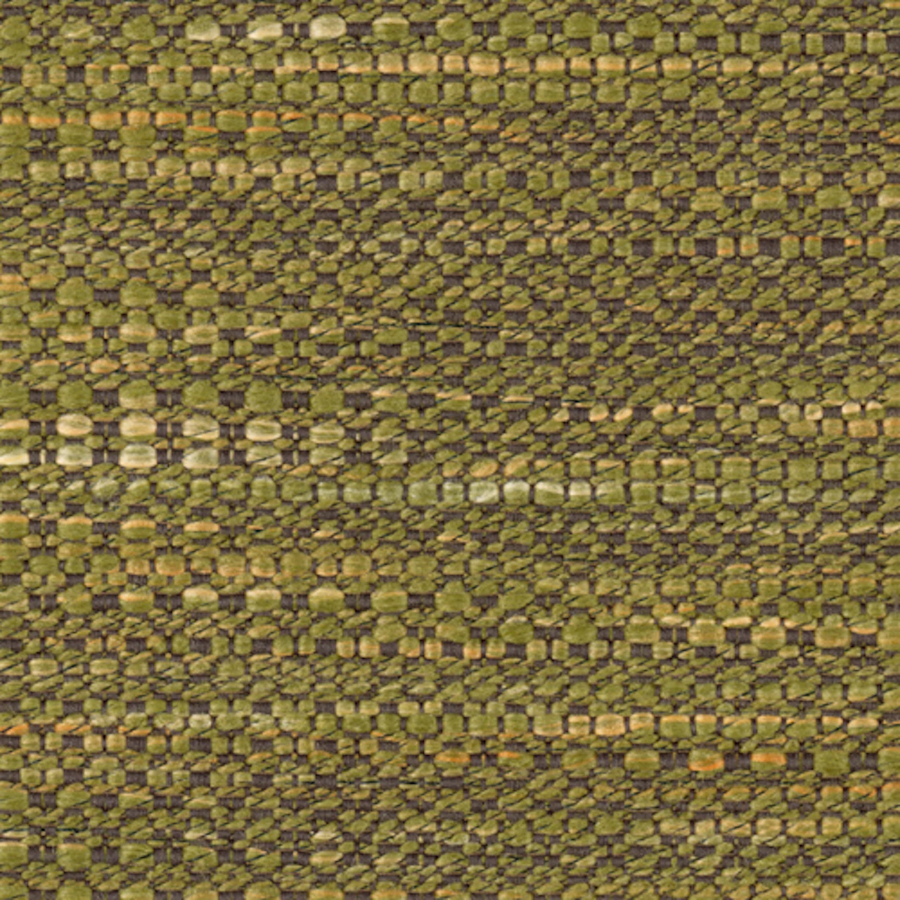 Spruce