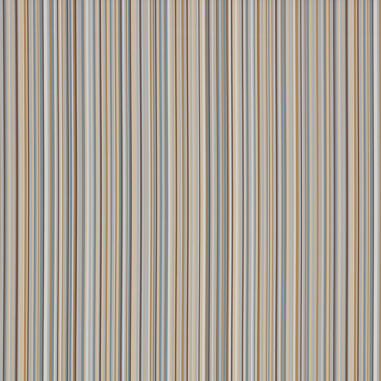 Shitake