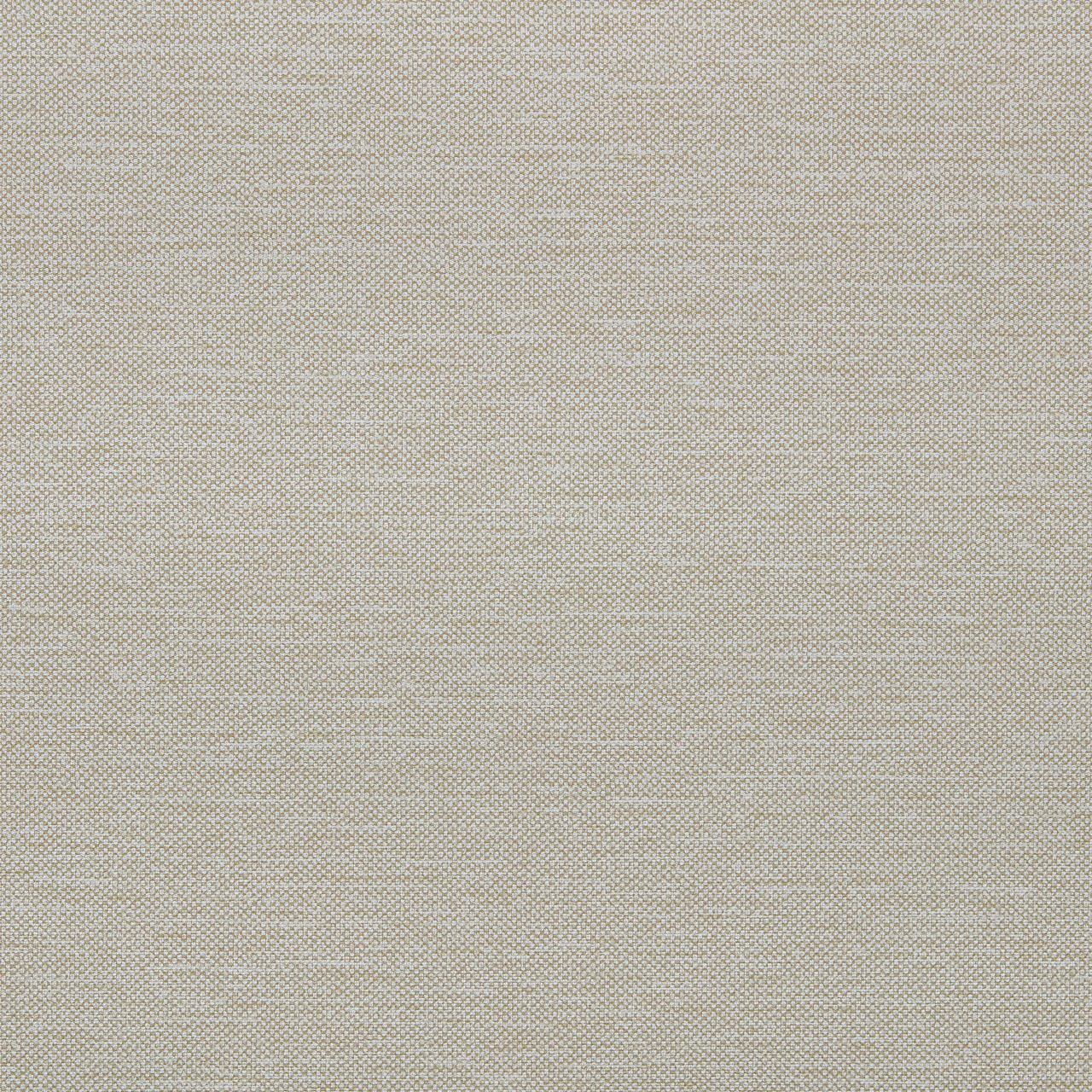 Artifact