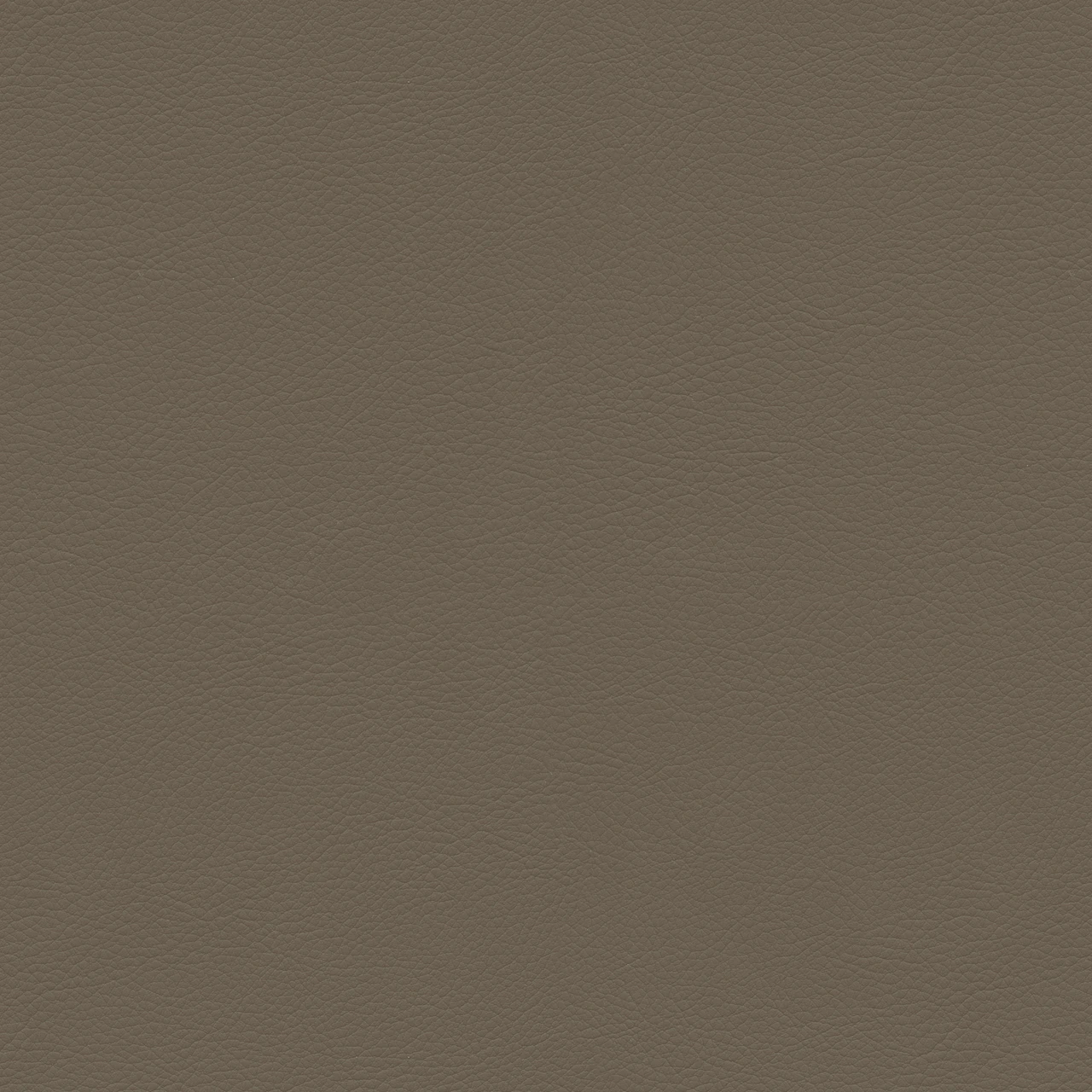 Umber