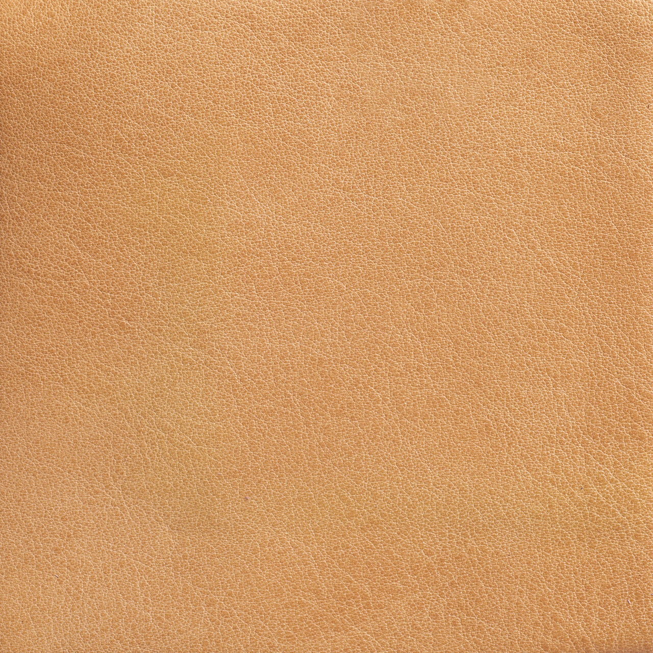 Wheat
