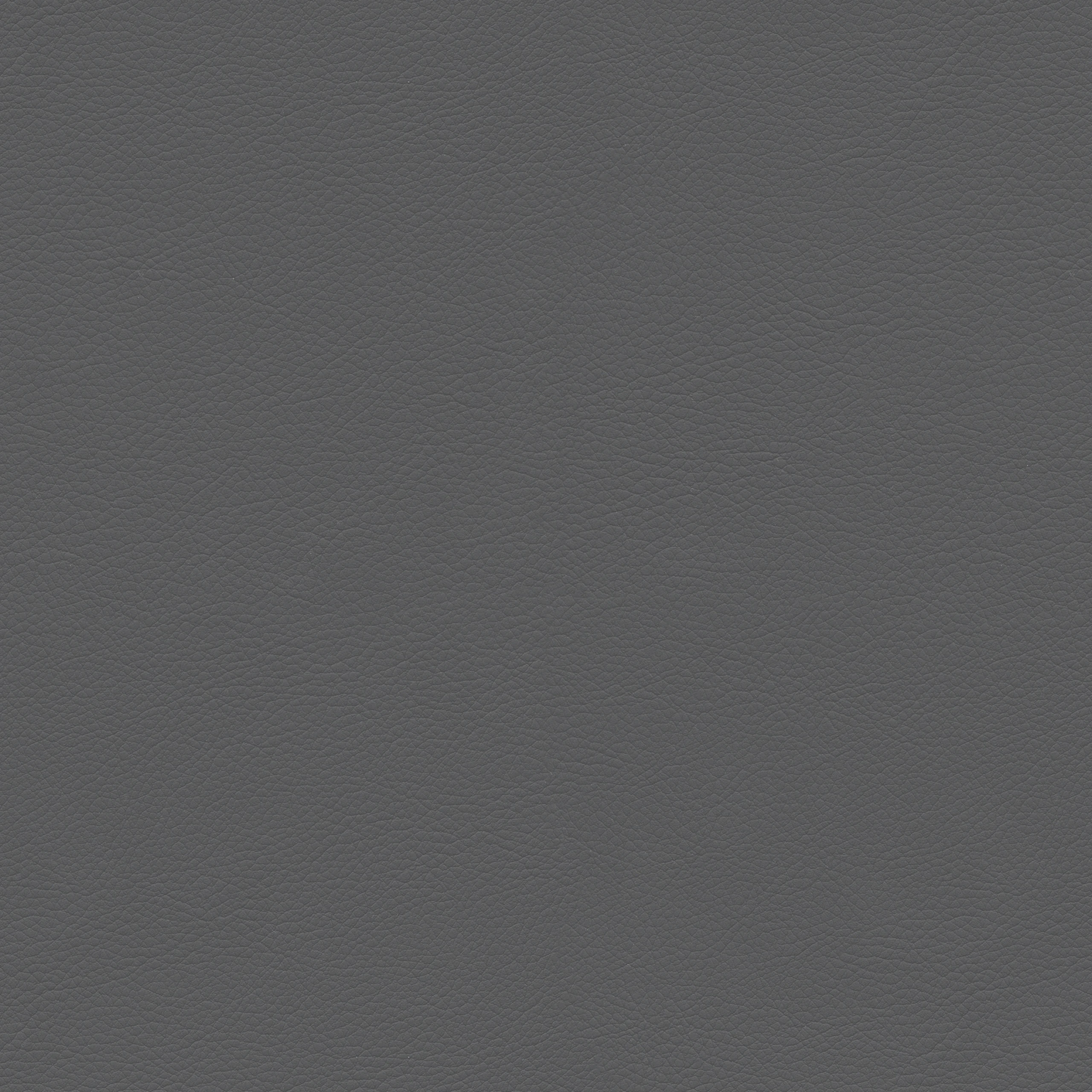 Charcoal