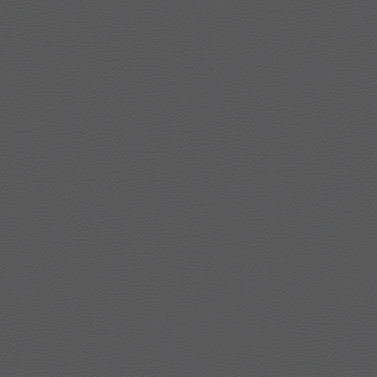 Charcoal