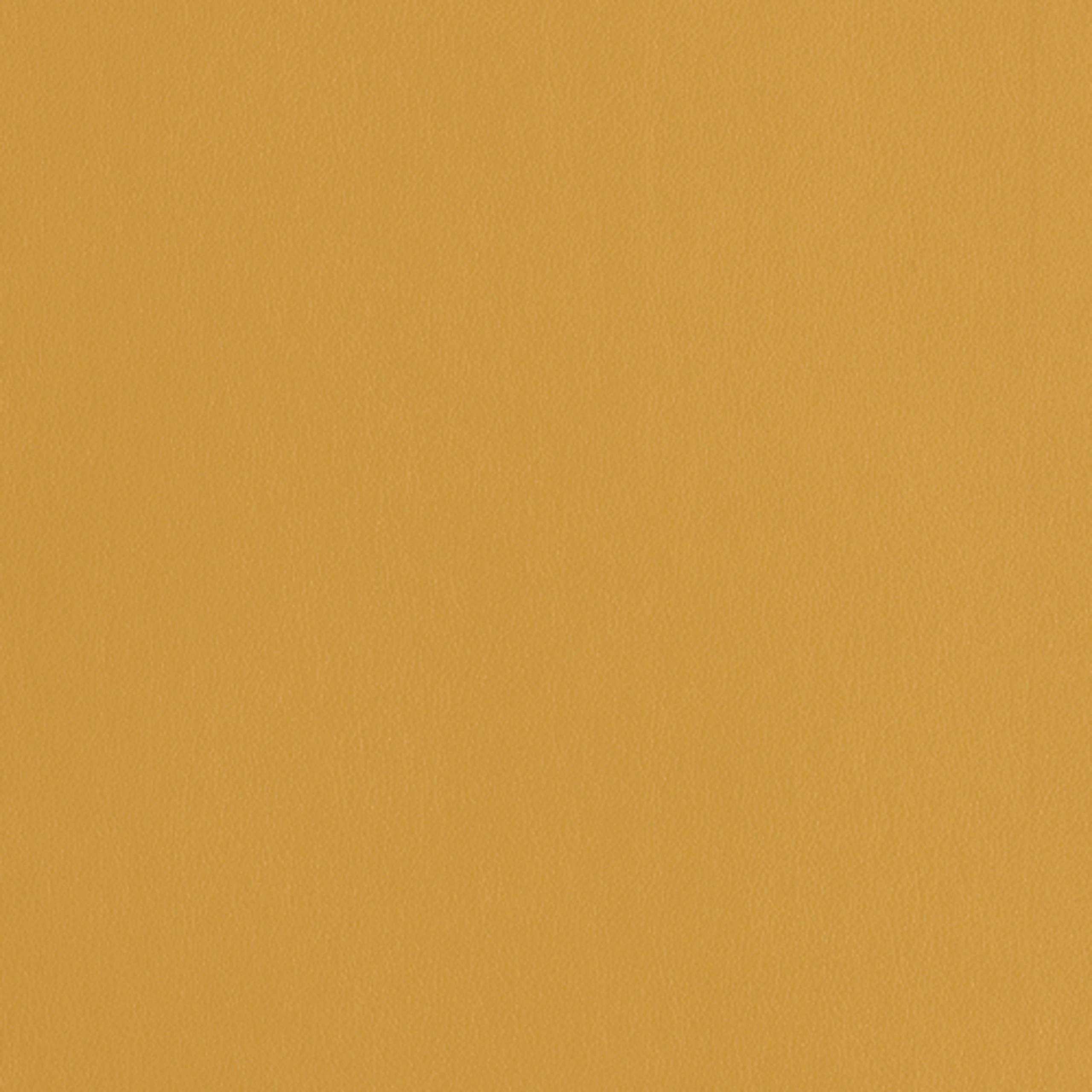 Marigold
