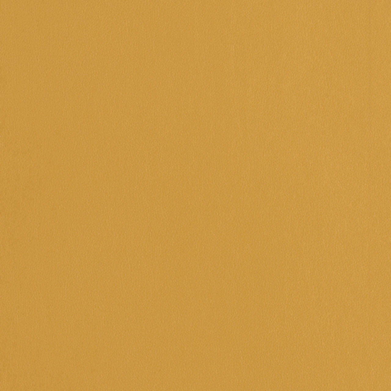 Marigold
