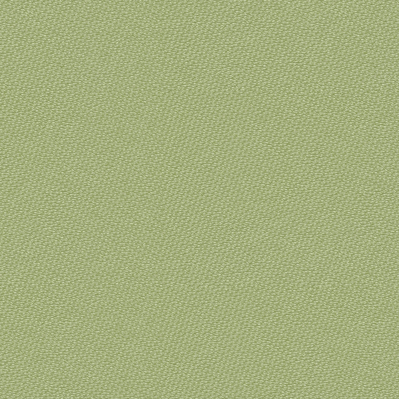 Grasshopper
