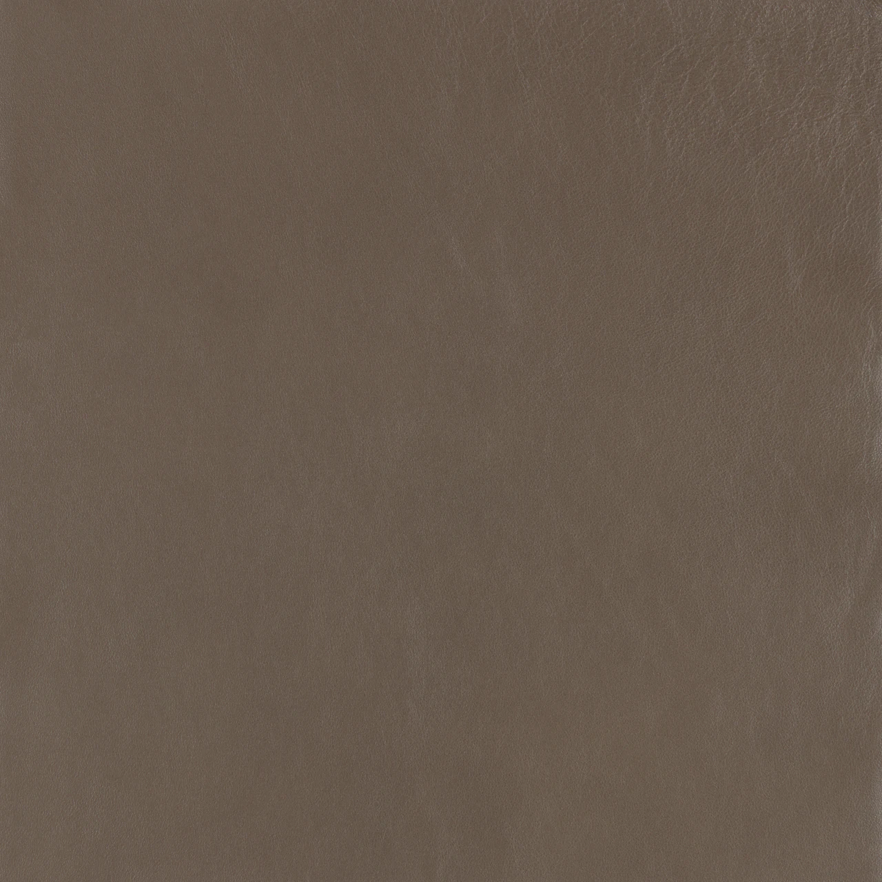 Outcrop