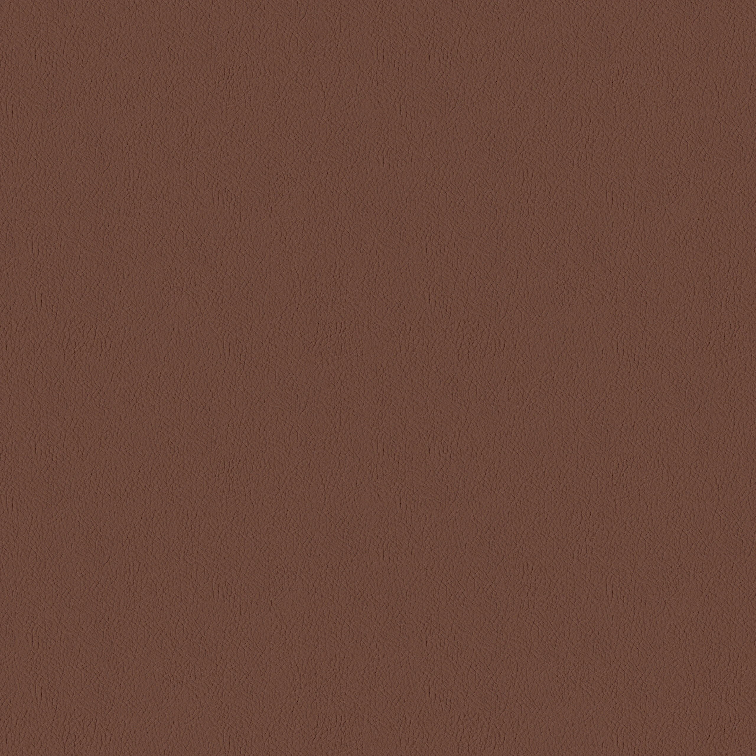 Russet