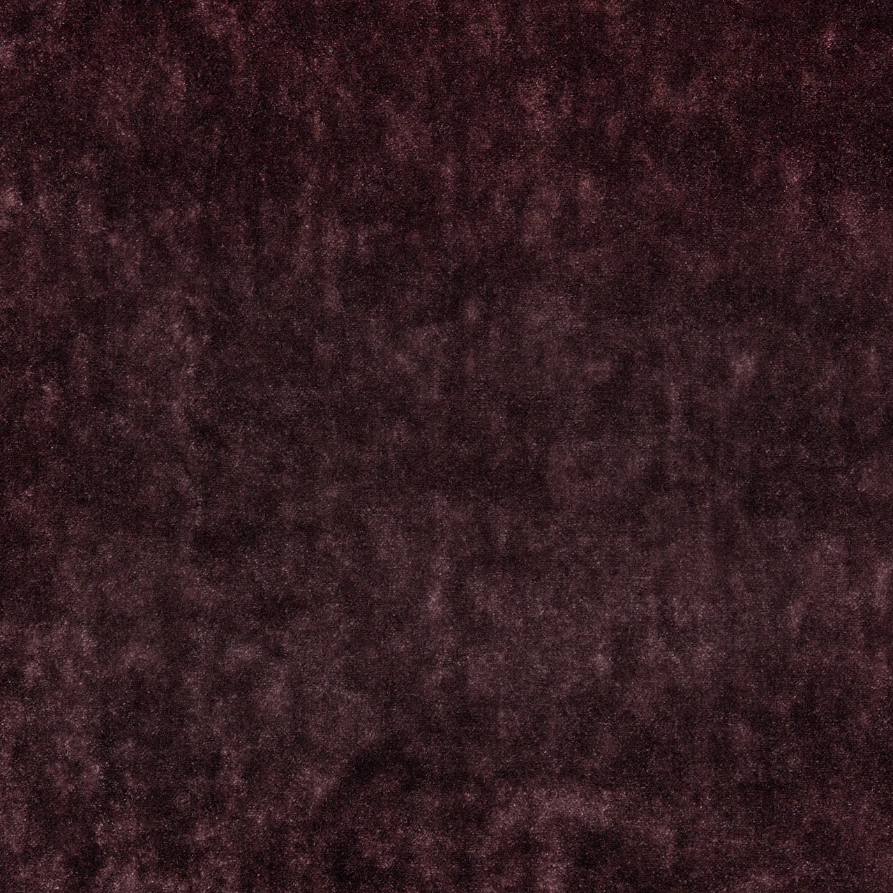 Aubergine