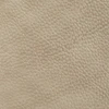 Sahara