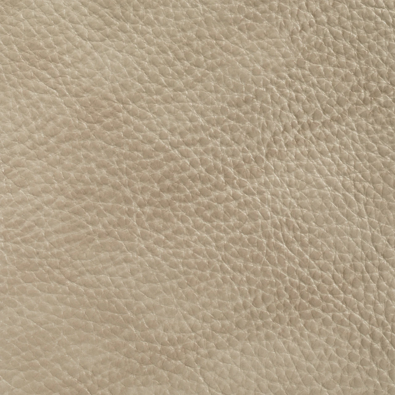 Sahara