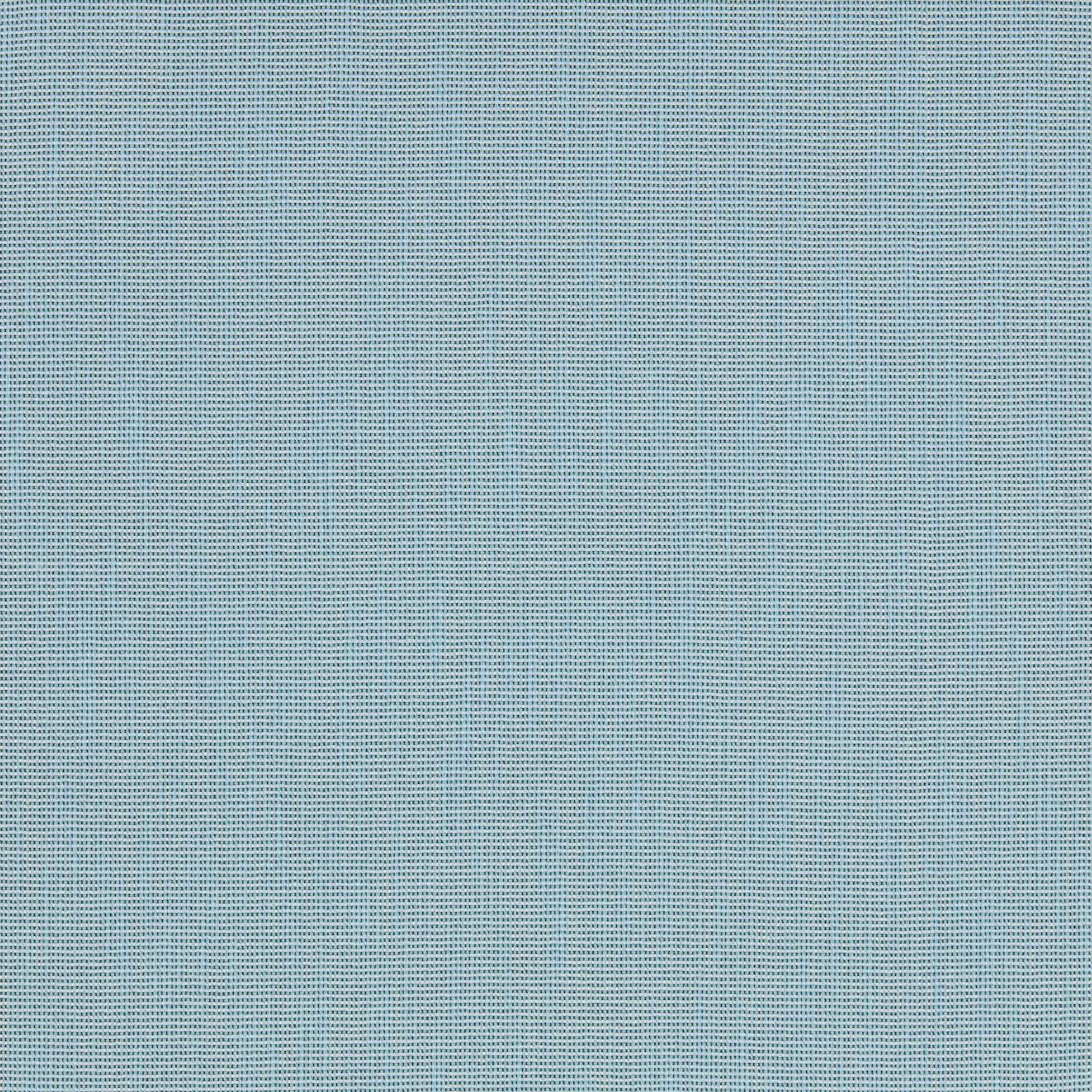 Periwinkle