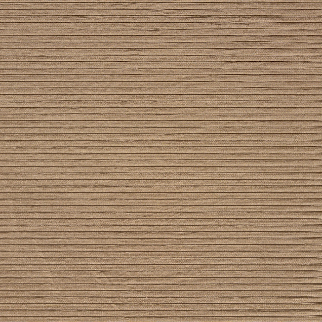 Seed