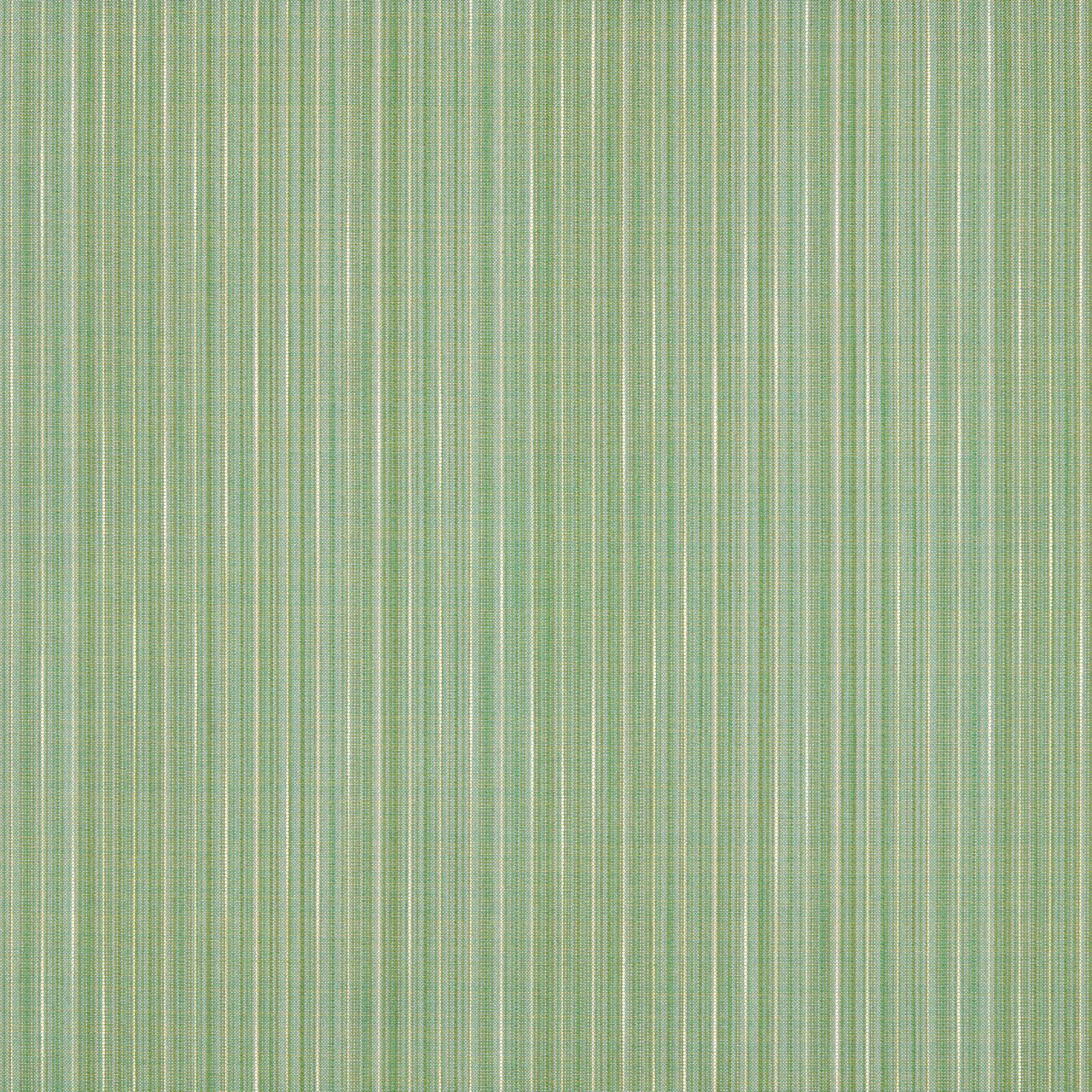 Tarragon