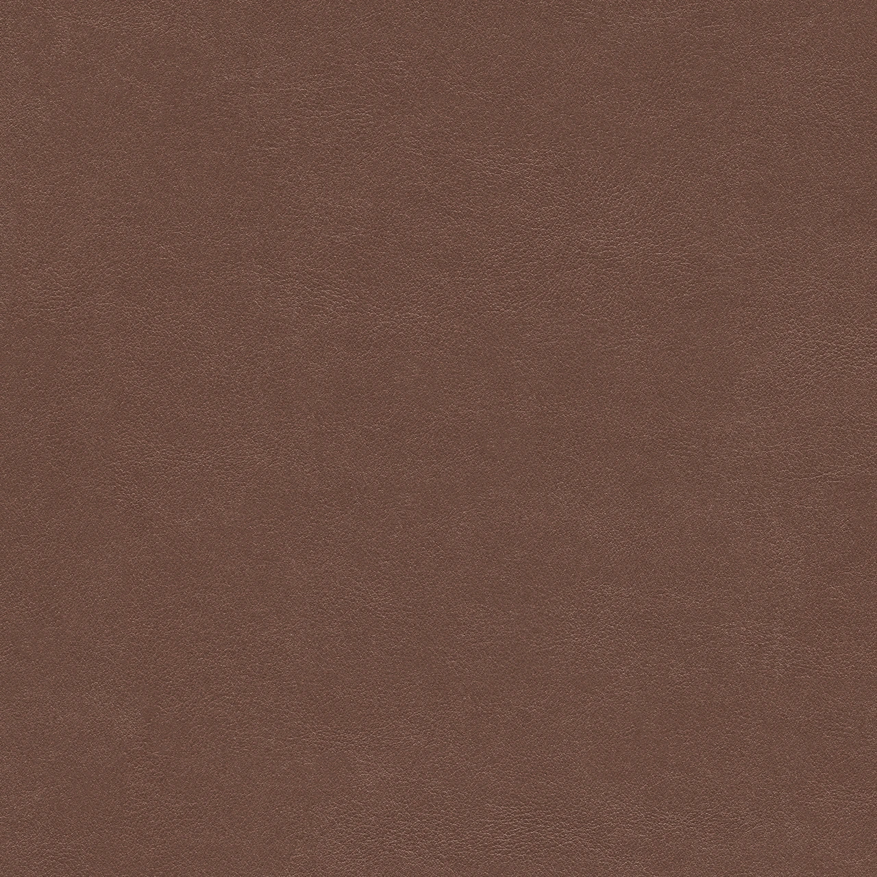 Hazelnut