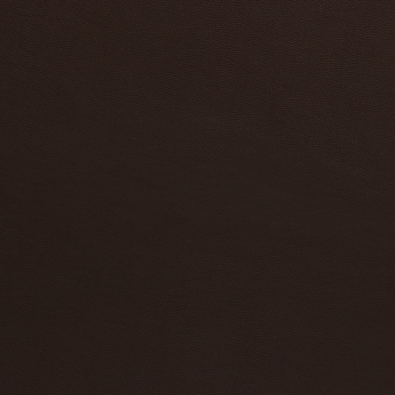 Sorrel