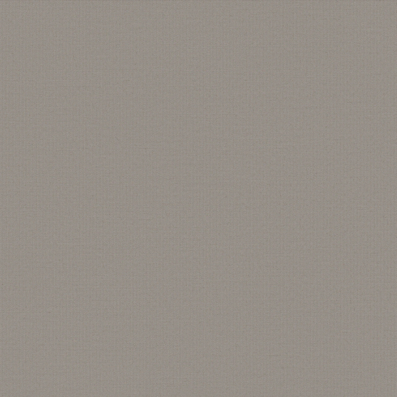 Notion