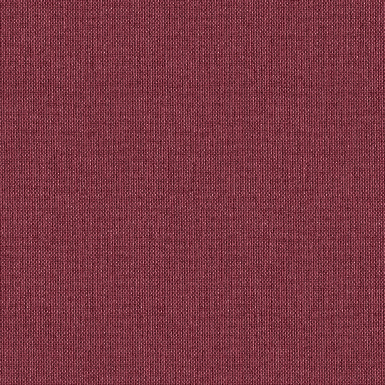 Barberry