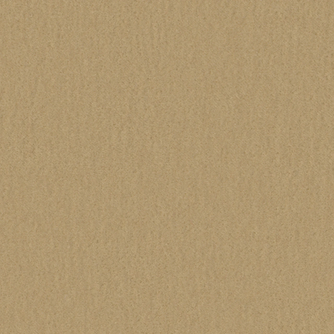 Palomino