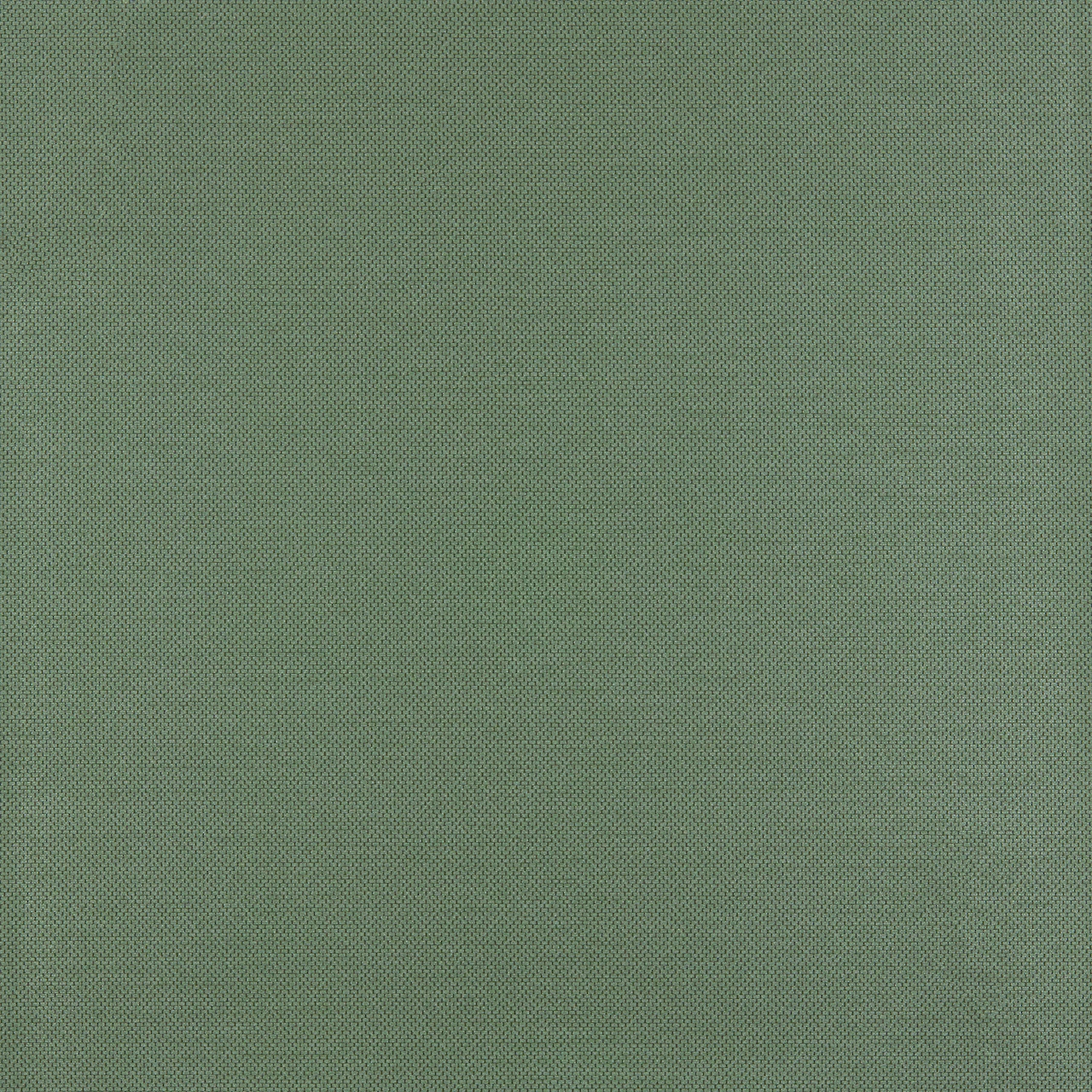 Shamrock