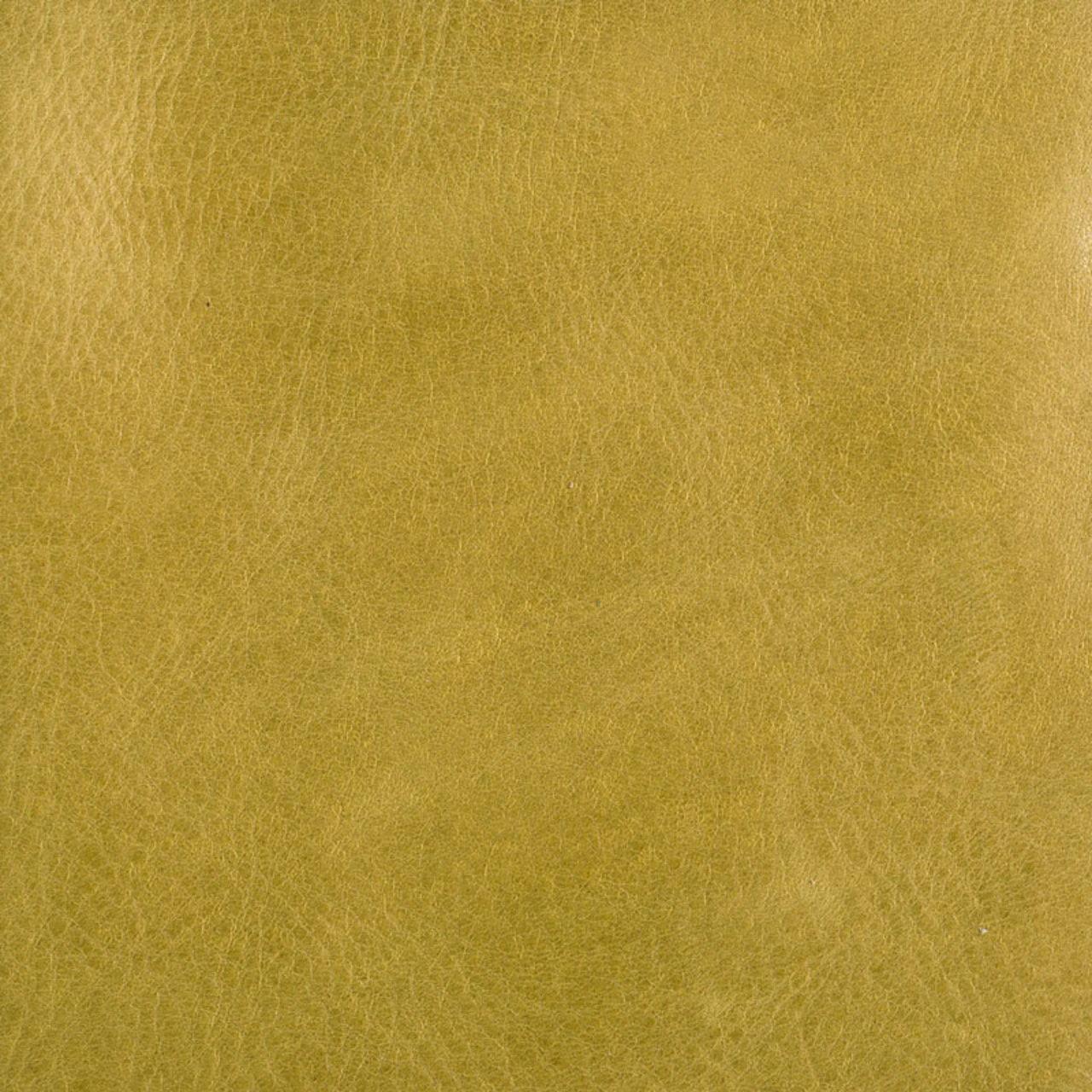Moss