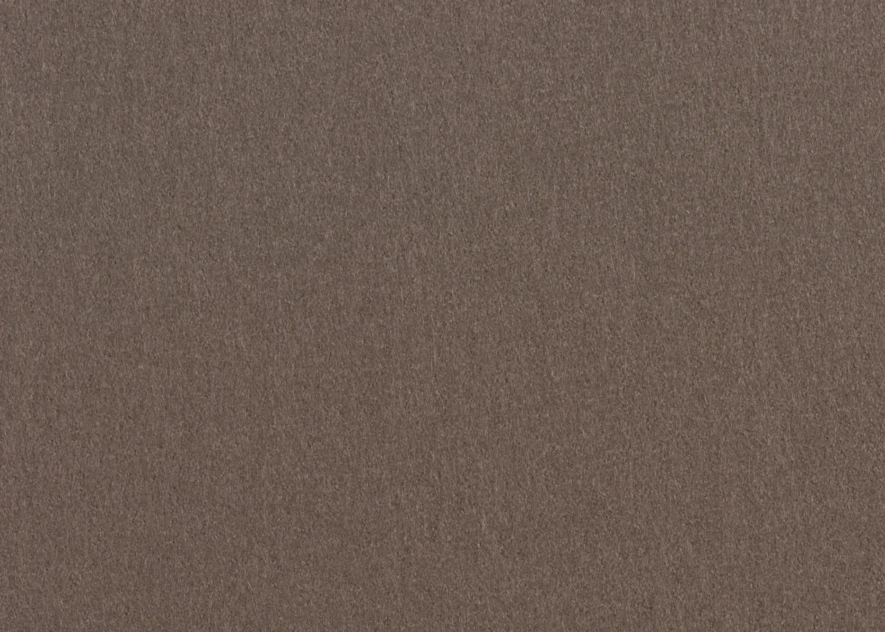 Mocha