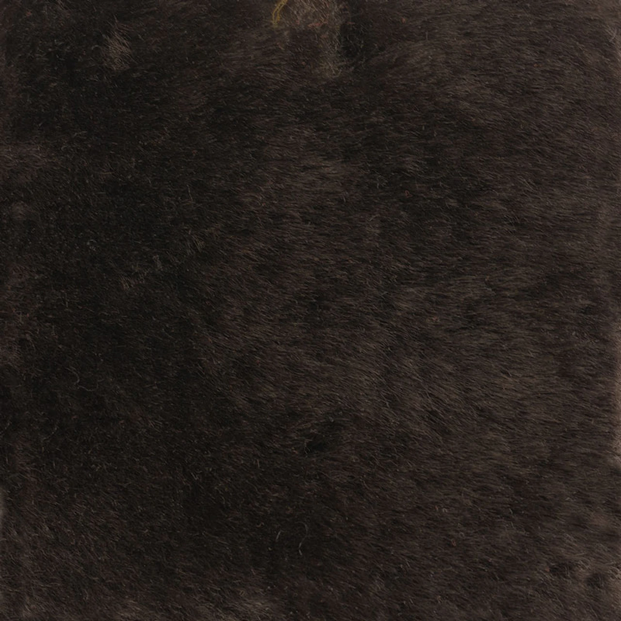Truffle