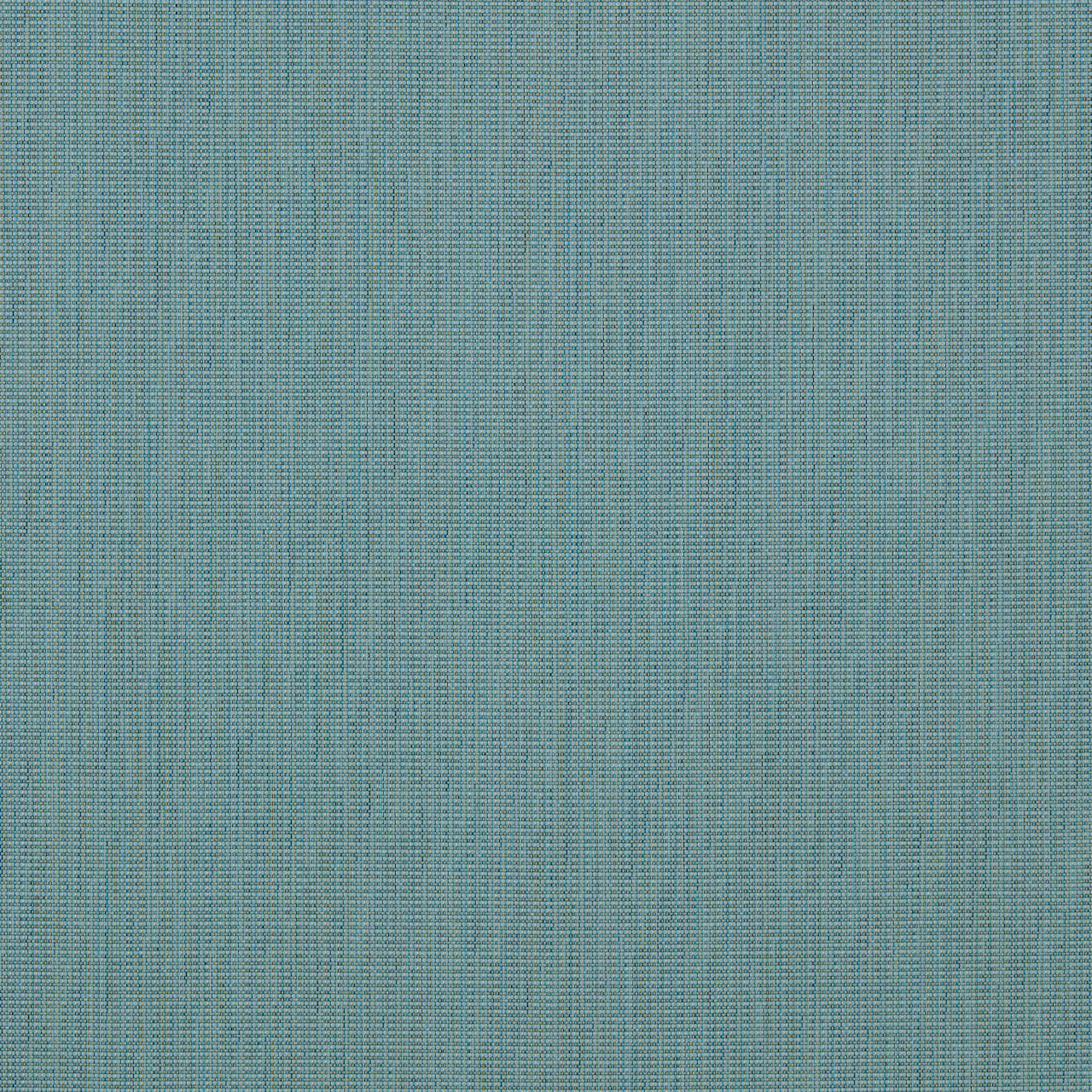 Seagrass