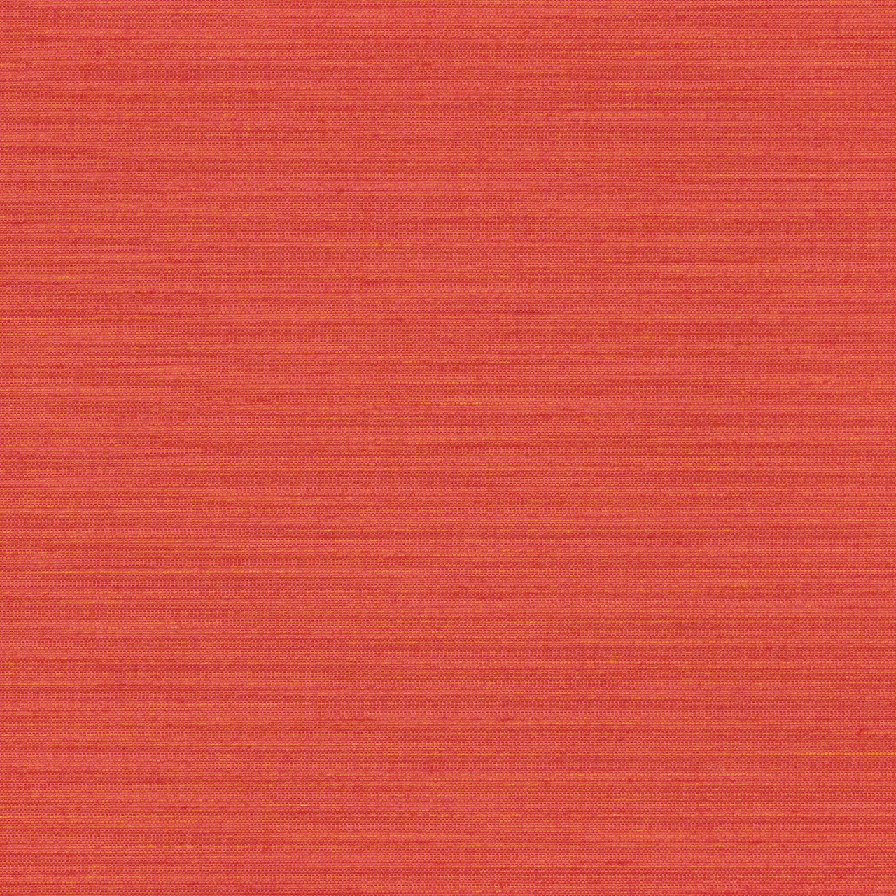 Grapefruit
