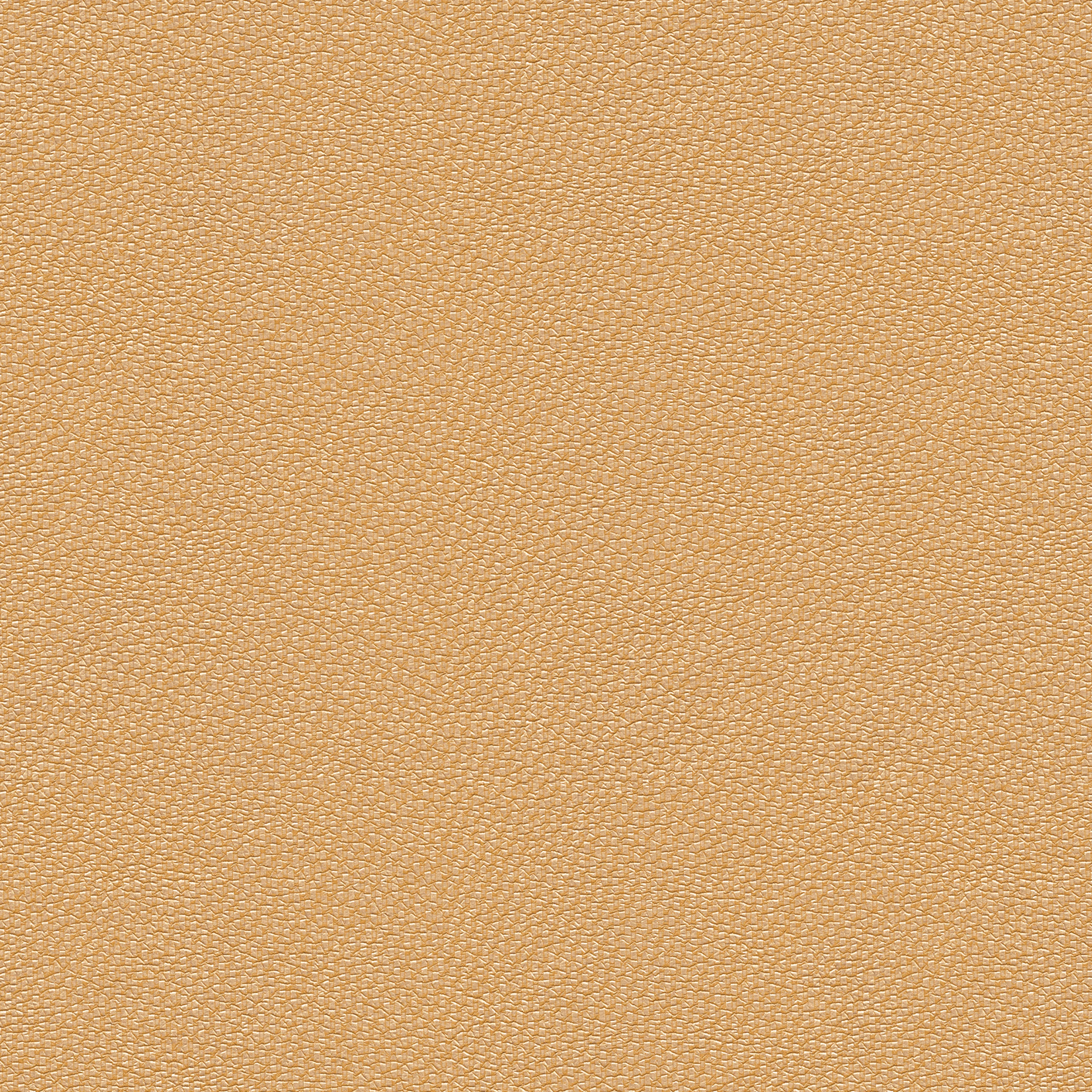 Butterscotch