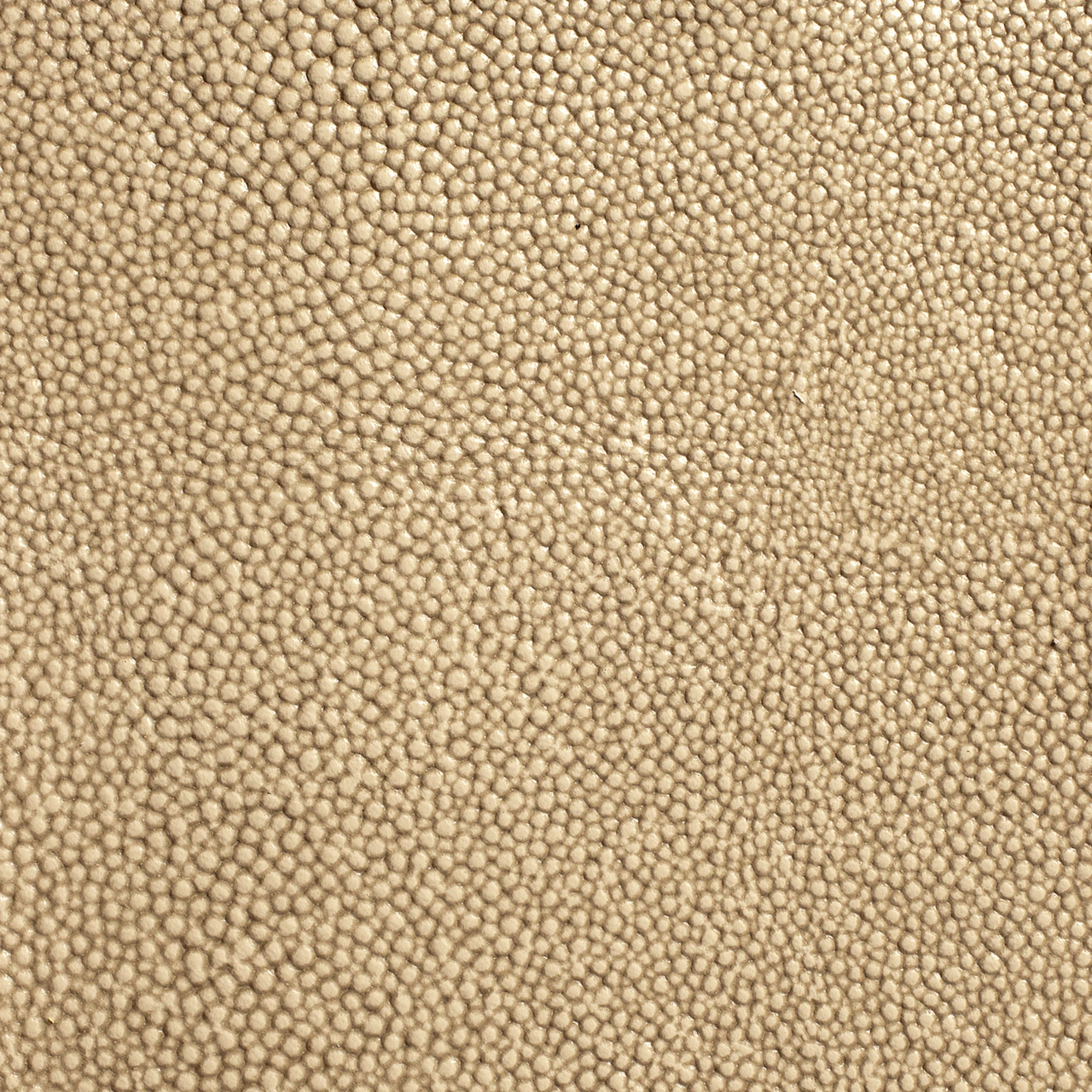 Sha-Beige