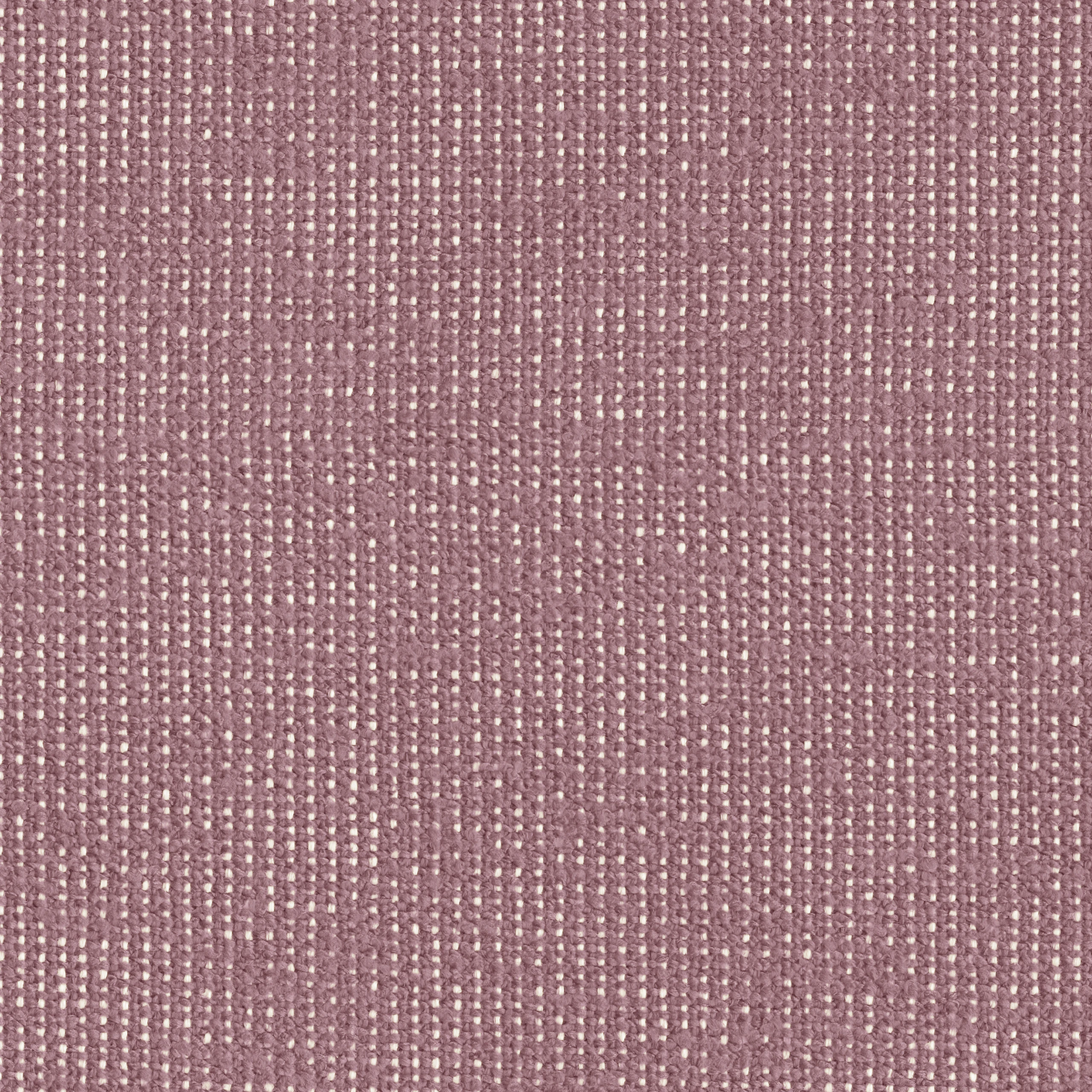 Lavender / White