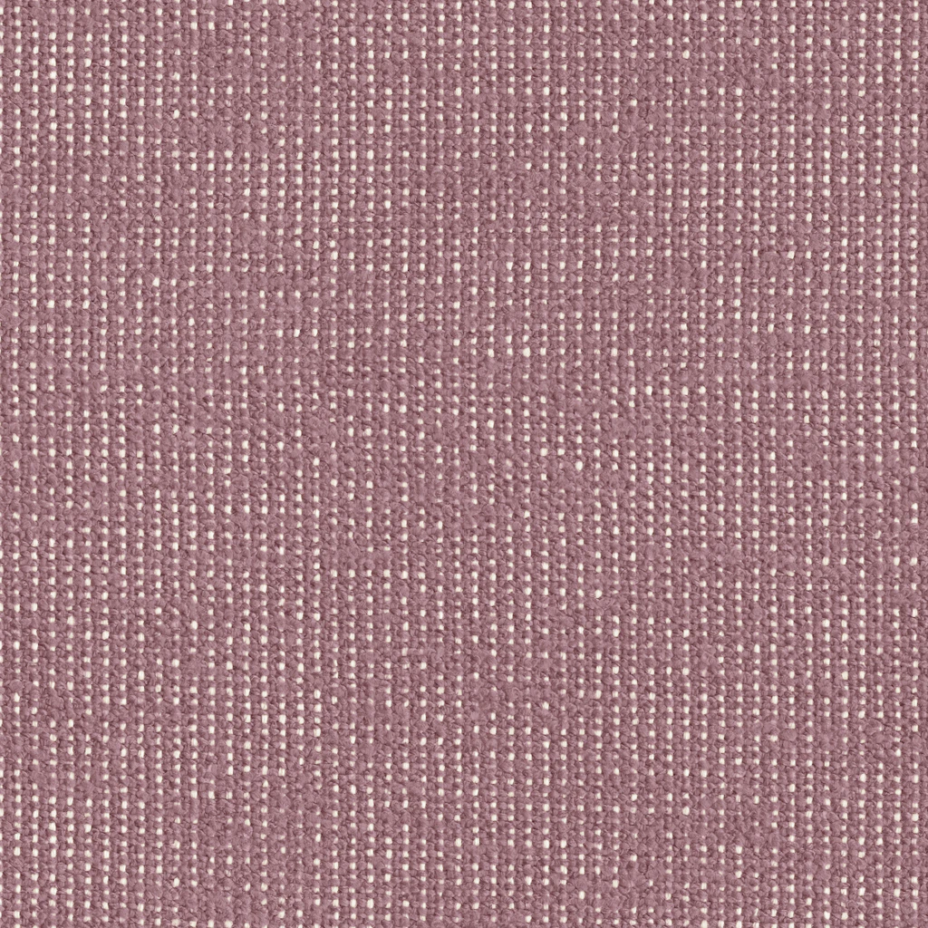 Lavender / White