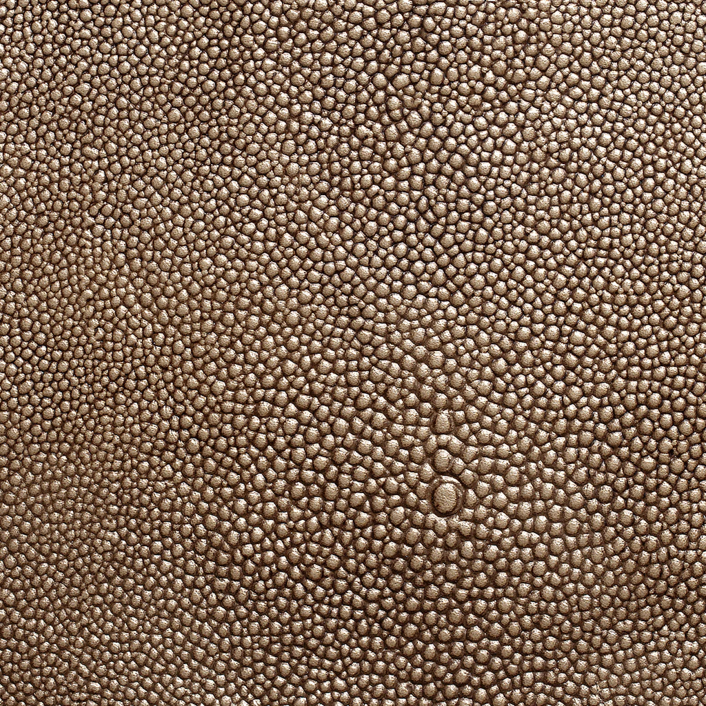 Grey Oyster
