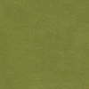 Grassland