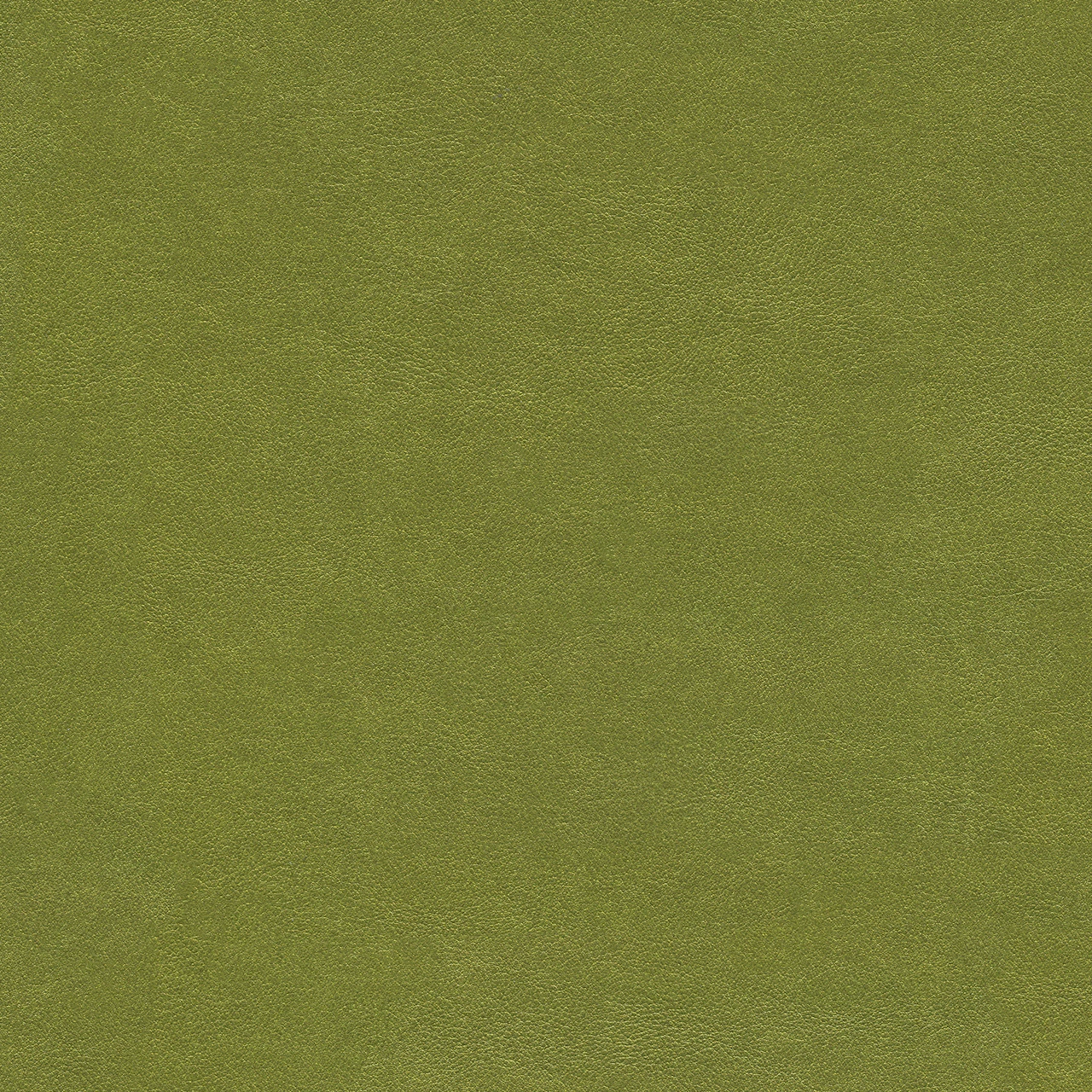 Grassland